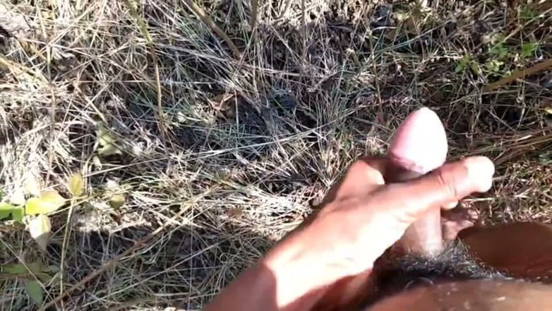 Desi Tits: Desi Indian Sex Jungle Fucking Xxx Video