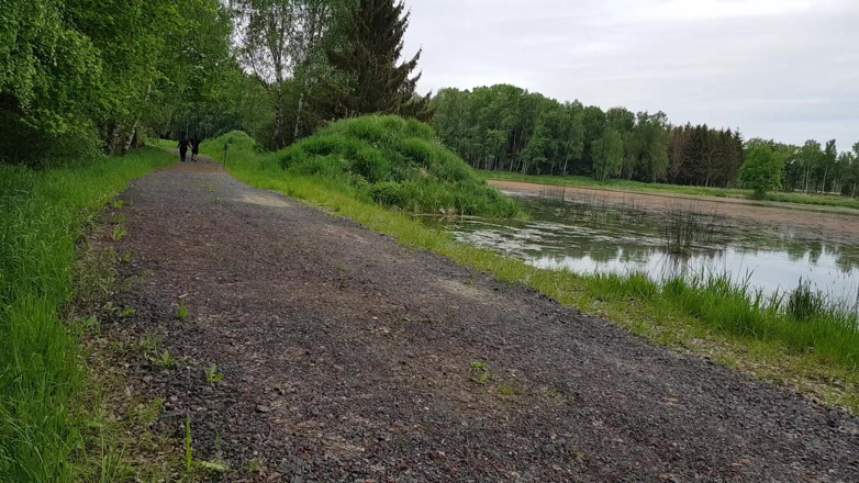 Femdom-Team-German: Herrdagen annorlunda: en speciell promenad