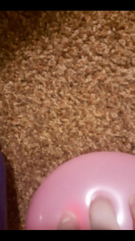 I Popped Balloons with My Feet