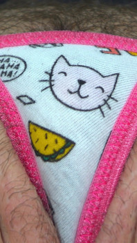 Arielle Lane - Taco Kitty up the Skirt 2026