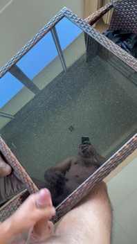 Cum on the Table Before Airbnb Checkout