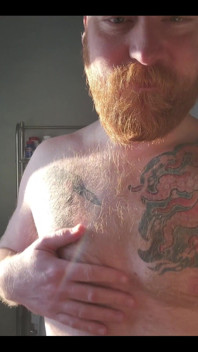 Ginger Fur in the Morning