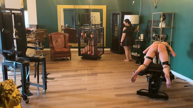 LadyPam: Piss Drenched Bound Slaves in Dominatrix Dungeon
