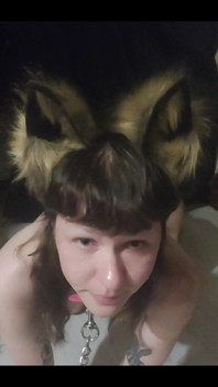 Im Your Pet