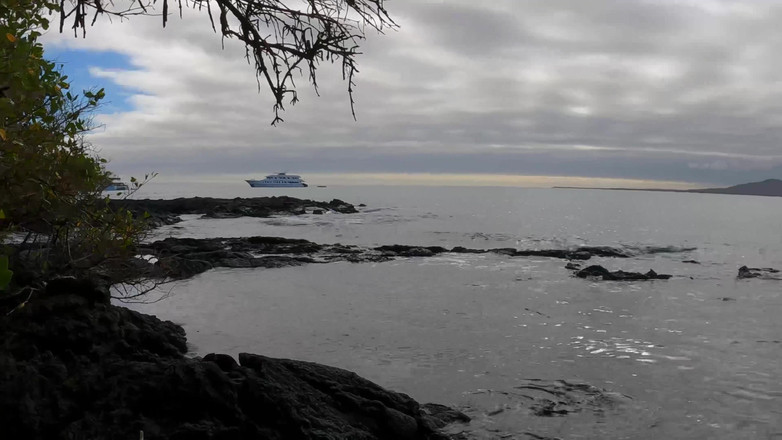 Jade Kink: ラフなアマチュア屋外フェラチオとフェイシャル