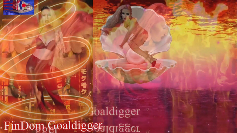 FinDom Goaldigger: Nízké IQ