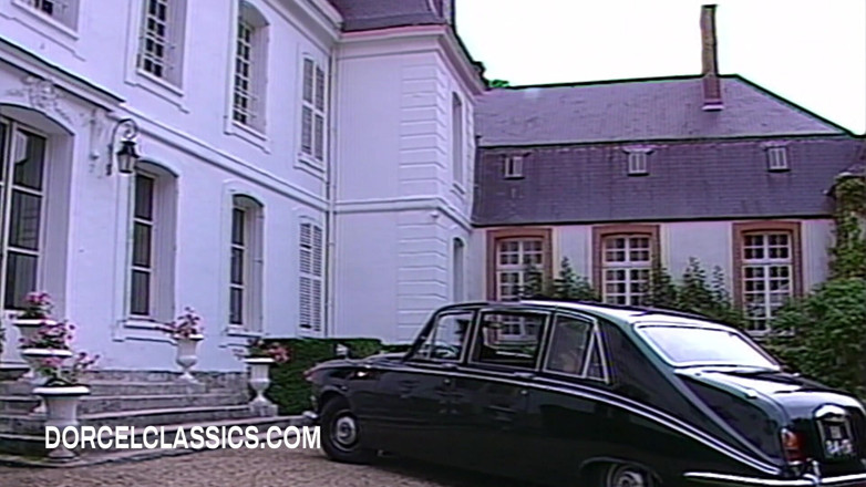 Dorcel classics: A Fortuitous Accident