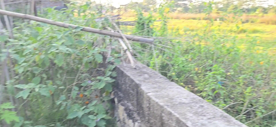 SafeRosebush8: インドのXXX入浴ビデオポルノ動画