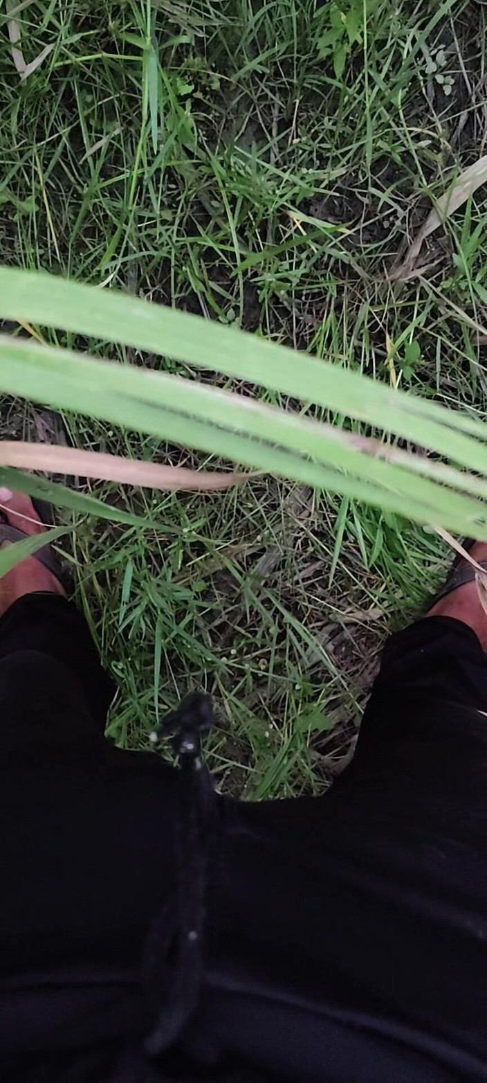 Desi x nexon: Masturbarsi nel campo di canna da zucchero