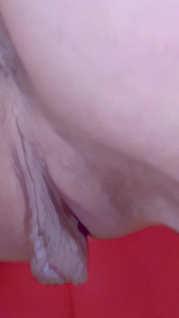 Hot Little Brunette Wendy Dancing and Stripping