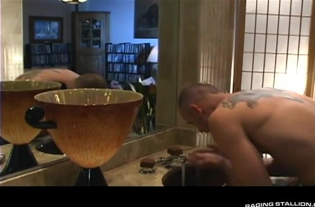 Raging Stallion: Gay dreams