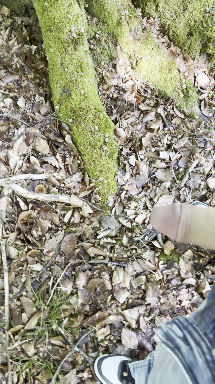 mekcho92000: Hot Break in the Forest