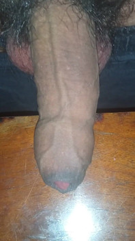 Live Erection