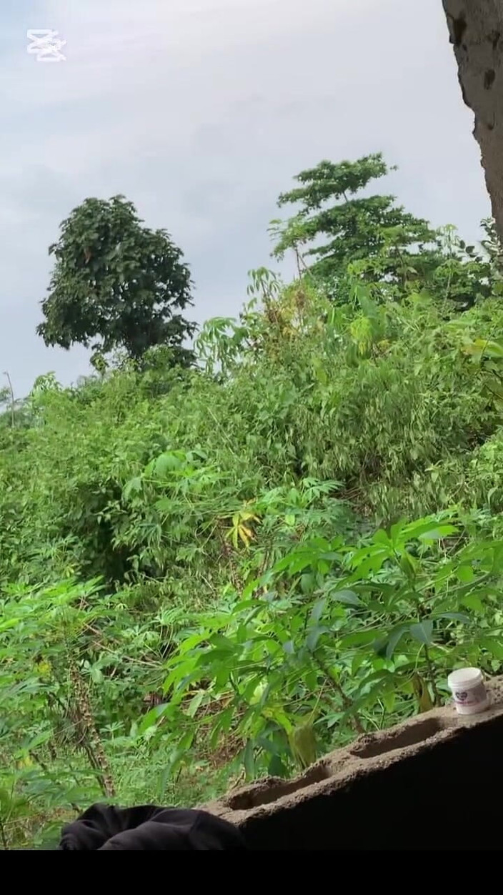 Sassypussyy:  Sassy Pussyy Videos 