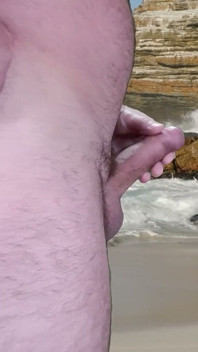 Beach Cock
