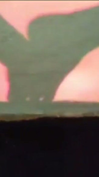 Gresopio Feet