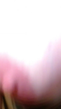 1268 Cumming para Sam