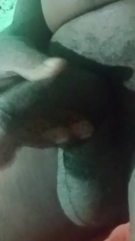 Cock Cock
