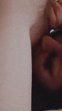 How Many Licks Does It Take