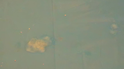 Mark Hannes: Fleshlight tafelneukpartij masturbatie