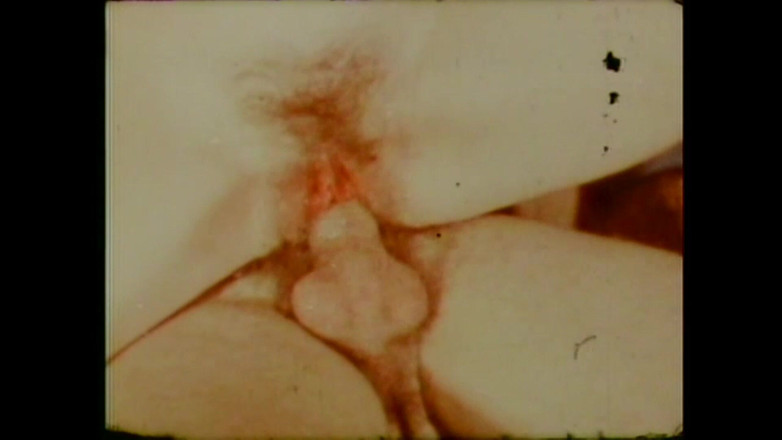 Vintage Usa: Citrusové plody nakupování