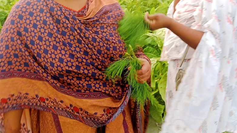 Hoktoml99: Rakib69 - bangla india al aire libre pueblo 3 - algunos mms calientes