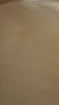 Lets Have Cum Together