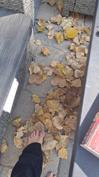 Des Feuilles Sèches Se Craquent Avec Des Pieds Nus Sexy