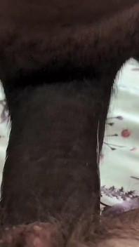 Bbc folla milf infiel chorrea