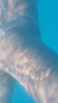 Underwater
