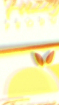 Fuzzy Peach