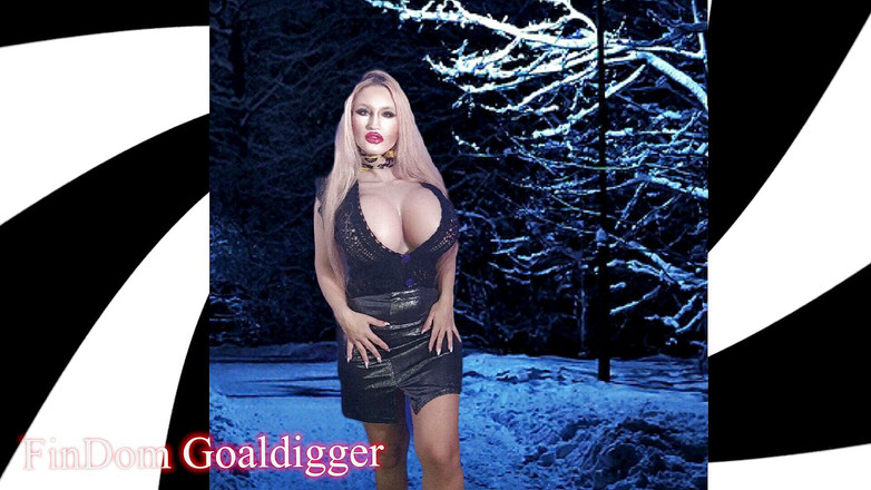 FinDom Goaldigger: 歌詞の意味: 私の声は女王です。