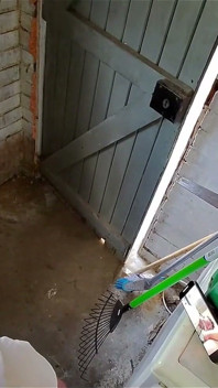 3903084137.mp4