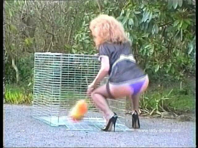 Lady Sonia: 치마를 입은 흑인 나일론