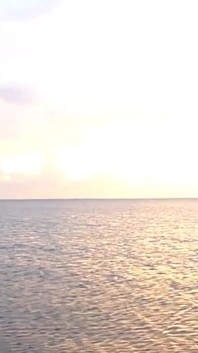 Pemain Pantai