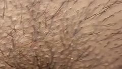 Desi Indian Marathi Kavita Riding Dick on Tatya in Jungle Close up Cowgirl Fuck