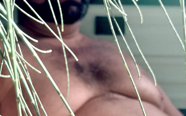 Brewster Bear: Niedźwiedź spuszcza kemping w lesie