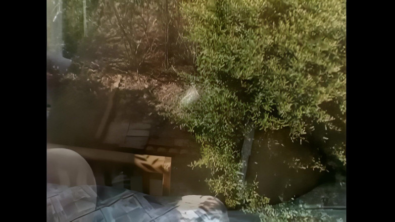 2 much love: 내 친구의 자지를 원하는 우유로 가득 찬 임신한 와이프 - 에피소드 #01