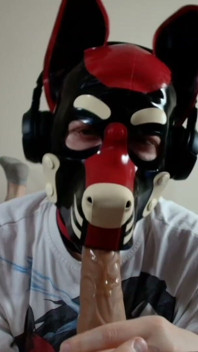 Latex Pet Sucks His Rubber Bone. Watch the Full on My Fancentro