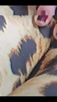 Pořád jsem zaseknutá při praní