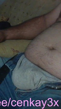 Horny Bear Is on Live