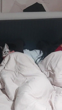 Sexy matrigna calda, solo fan al rallentatore, a letto