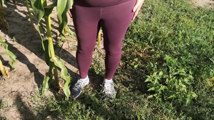Bouncy Tits Action: Slap my tits in corn field