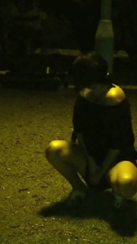 Beautiful Whore Sucking My Dick in the Park