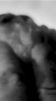 My hands destroying fruit, Part One