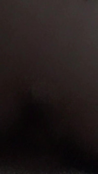 Melody Pleasure 그리고 Cheffie 겔젠키르헨의 비하인드 스토리