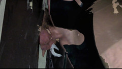 Adam Storm: Người đàn ông ẩn danh