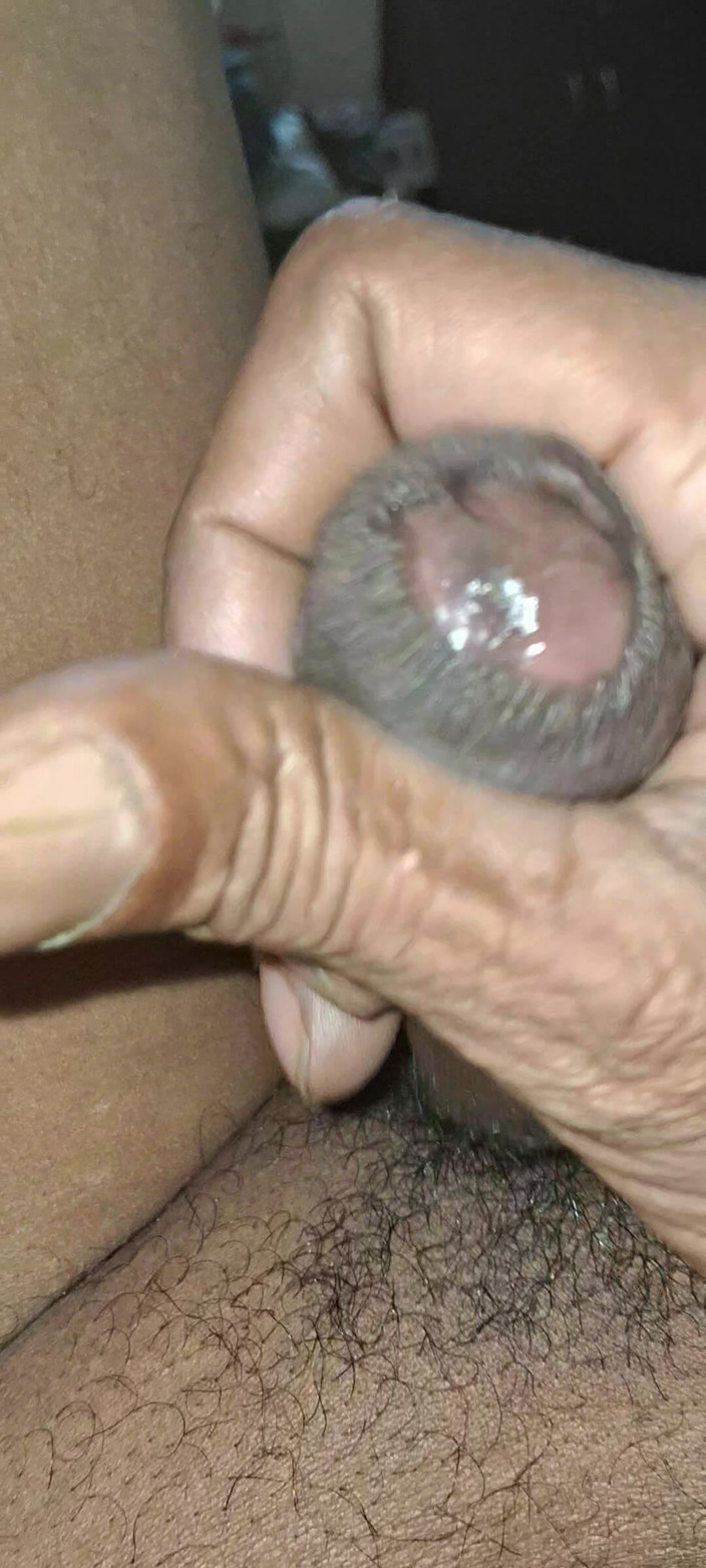 Maddymissile: Mustarbace