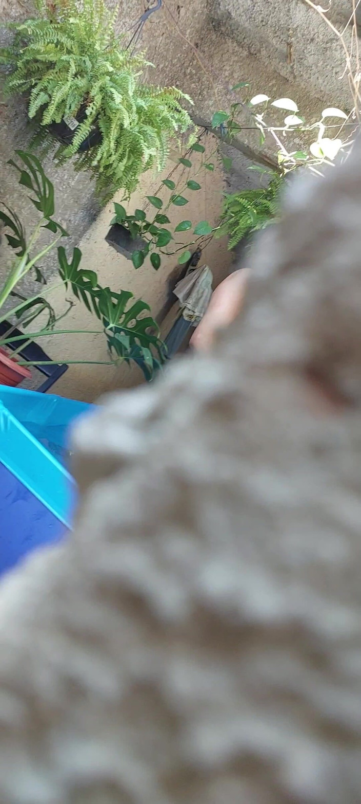 Renatinharj: Vanessinha Sees Me Watching Her and Throws Her Clothes at...