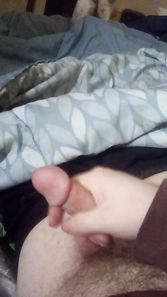 Kushalakalez: クッシュがまた帰ってきた!